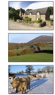 Acton Scott Farmhouse, surrounding hills and farm animals
